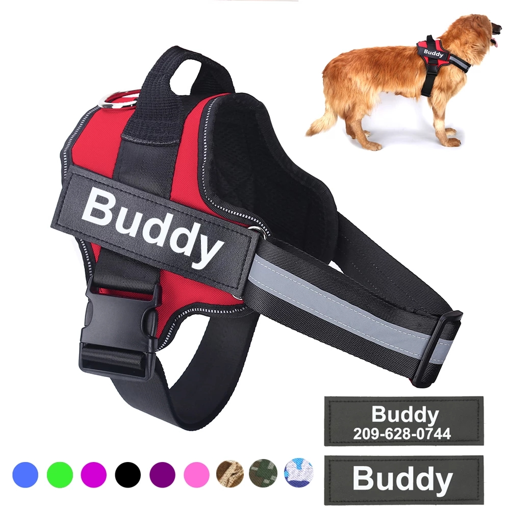 Personalized NO PULL Dog Harness