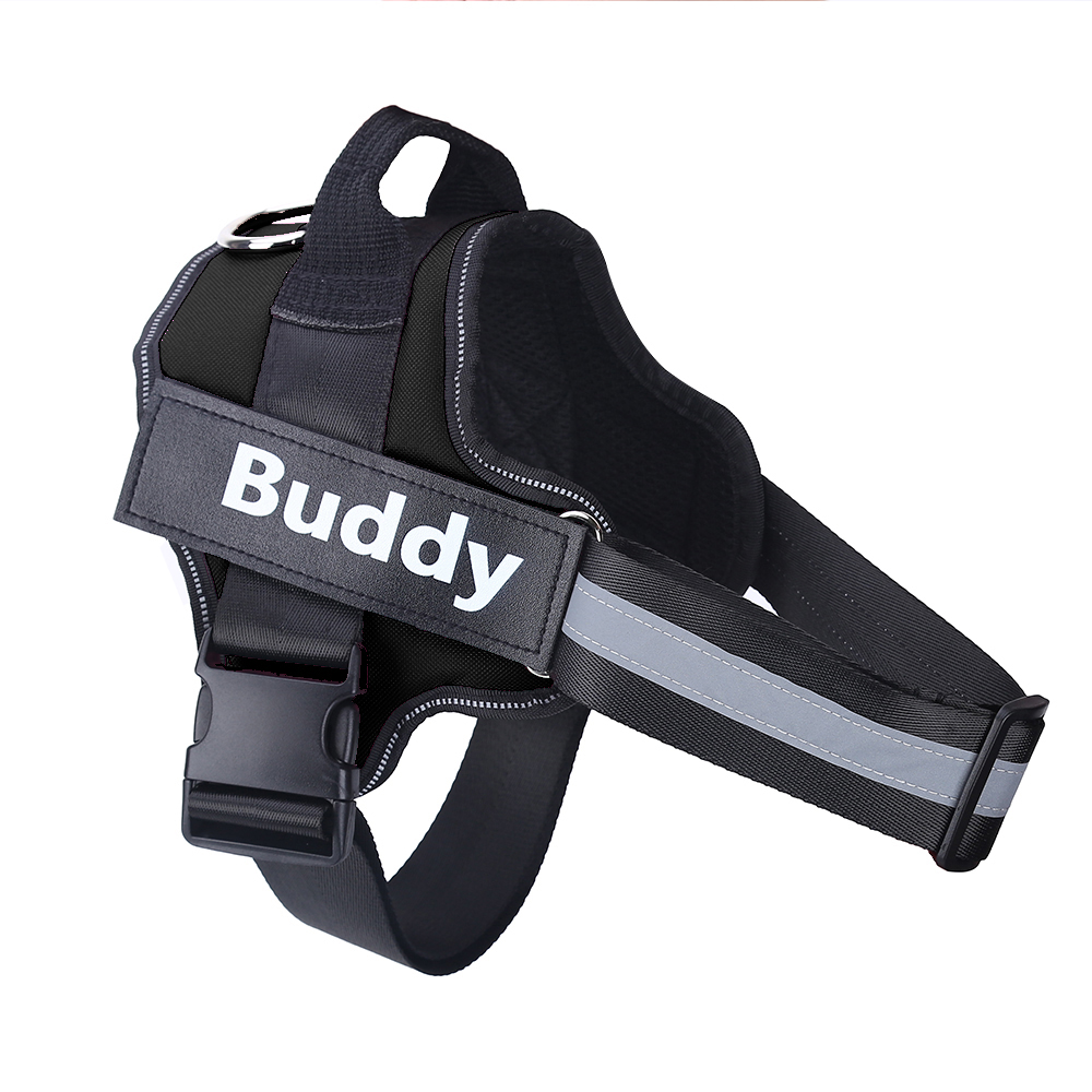 Personalized NO PULL Dog Harness