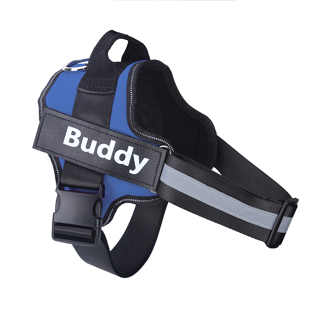 Personalized NO PULL Dog Harness